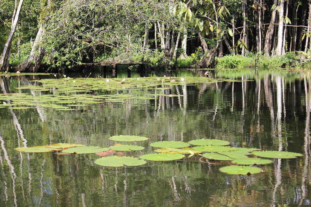 Hotel Y Restaurante Backpackers Rio Dulce Luaran gambar